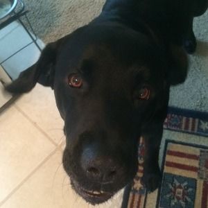 Meet your Posher, Sue